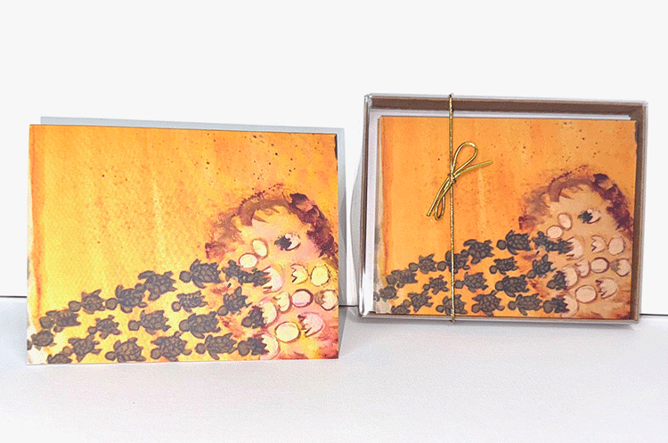 The Boil | Art | Notecards | Nancy Land McCurtin blank inside with gift box