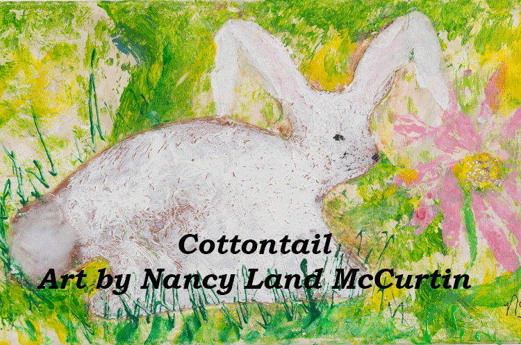 Cottontail | Art by Nancy Land McCurtin